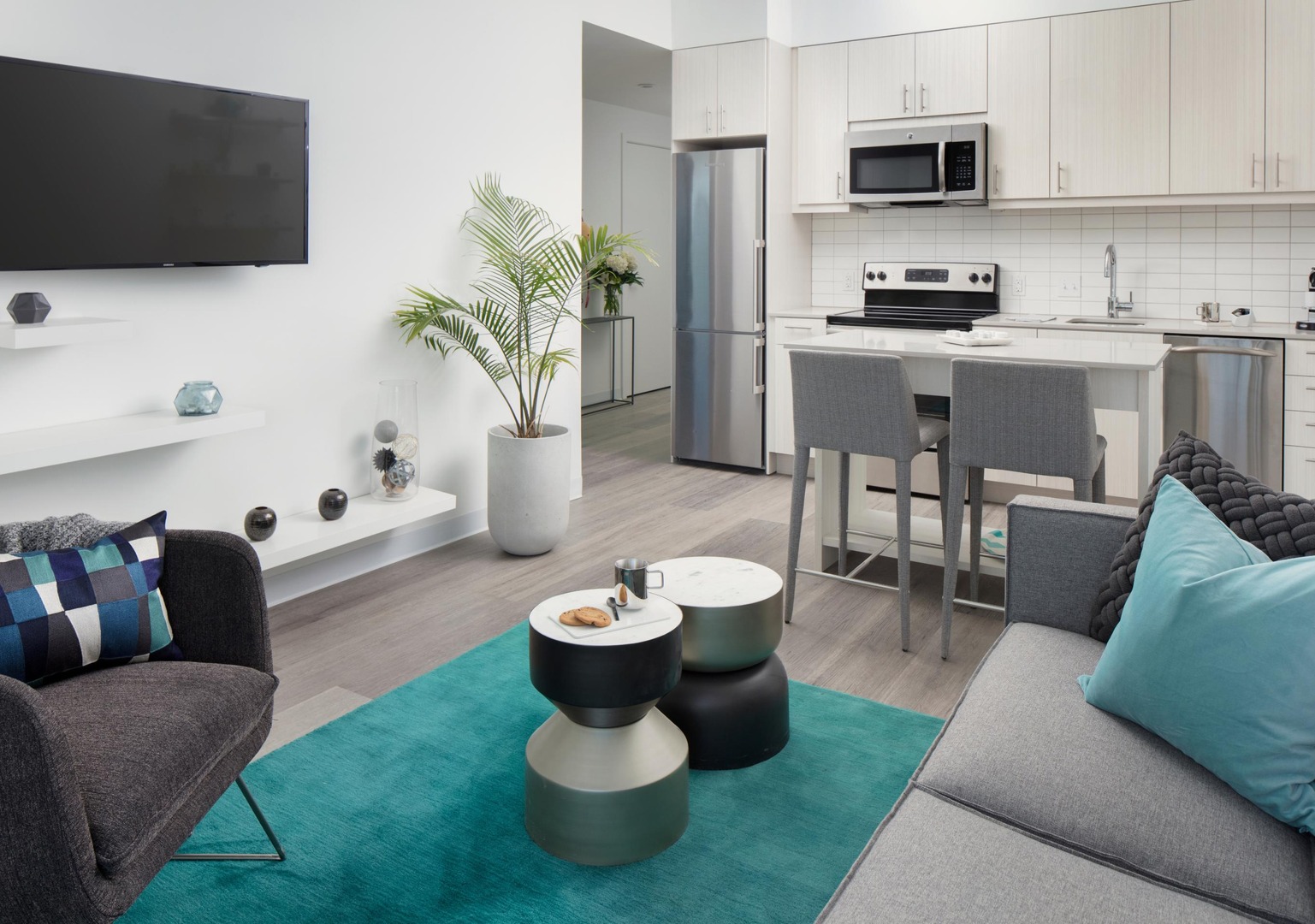 Living room and kitchen